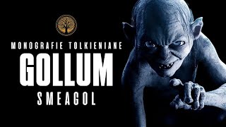 La STORIA di SMEAGOL GOLLUM dagli Hobbit Sturoi al Baratro del Monte Fato  IL SIGNORE DEGLI ANELLI [upl. by Yvon]