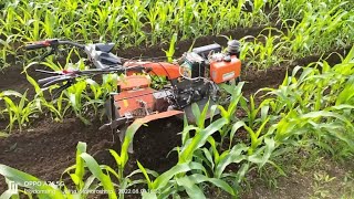 Automatic power weeder machineShrachi back rotary power weederPower weeder 🌽 corn farmingTillor [upl. by Hasheem]