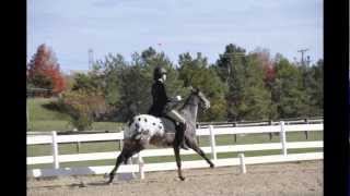 DressageBolting Bucking HD [upl. by Khai417]