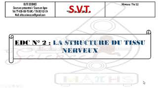 SVTTS2 RESUME L3 Structure du tissu nerveux [upl. by Lisha]