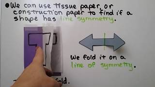 4th Grade Math 105 Line Symmetry amp Line of Symmetry [upl. by Liahus493]