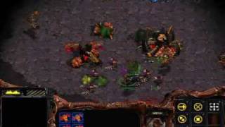 Starcraft  Zerg Mission 7 The Culling [upl. by England]