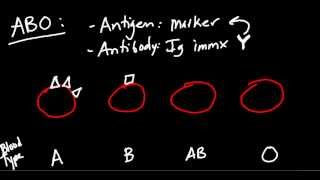 Blood Type ABO and Rh Made Simple [upl. by Godfree]