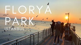 Florya Park Istanbul Флоря Парк Стамбул فلوريا بارك اسطنبول [upl. by Tallou]