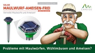 MaulwurfAmeisenFrei Solar Diamant Vibration von Gardigo [upl. by Alehtse482]