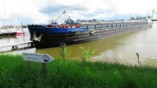 GMS ZOE PE5855 MMSI 244630477 riverbarge inland cargo ship Binnenschiff BJ 1958 [upl. by Eecyac]