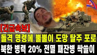 긴급속보 북한 병력 20 전멸 패잔병까지 싹쓸이 3일간 200명 사망돌격 명령에 뿔뿔이 도주 탈출 포로 급증 [upl. by Brasca]