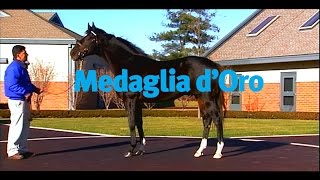 Medaglia dOro  the best in the US [upl. by Maryjane439]