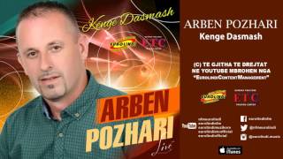 Arben Pozhari  Jalla shofer LIVE audio 2016 [upl. by Ecertak644]