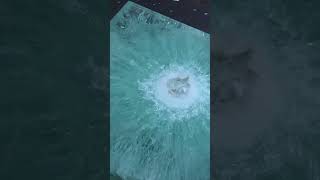 Double Barrel Rifle Vs Bulletproof Glass Kentucky Ballistics [upl. by Gui]