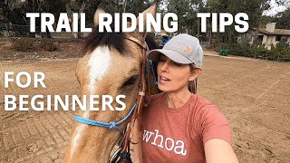 HORSE TRAIL RIDING TIPS Horse trail riding for beginners [upl. by Kironde]