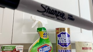 CLEANING PERMANENT MARKER SPOTS ON KITCHEN CABINETS ✨cleaningviralvideo youtubeshortsshorts [upl. by Llenral999]