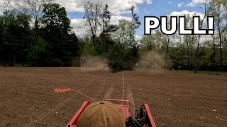 Tree Removal BEFORE the Next Severe Weather Comes [upl. by Bonnice81]