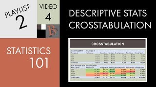 Statistics 101 Descriptive Statistics Cross Tabulation [upl. by Naghem]