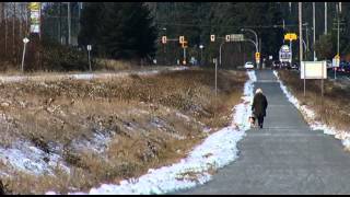 Nanaimo Region Rail Trail NNRT  Shaw TV Nanaimo [upl. by Halet]