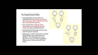 Polyploidy [upl. by Jephum997]