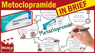 Metoclopramide Reglan 10 mg What is Metoclopramide Used For Dosage Side Effects amp Precautions [upl. by Awra20]