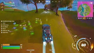 Fortnite pickaxe glitch [upl. by Sitelc497]