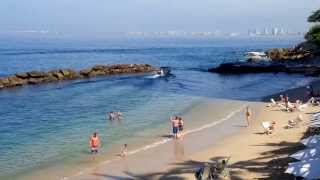 Tour de snorkel saliendo de Costa Sur Puerto Vallarta [upl. by Kowatch954]