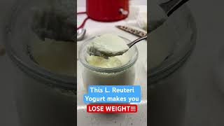 Lose weight with L Reuteri yogurt from Dr Davis make yogurt at home  reverse diabetes [upl. by Anelad10]