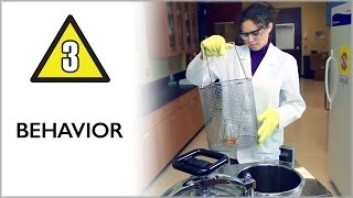 Behavior  Lab Safety Video Part 3 [upl. by Aniela510]