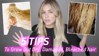 5 Tips to Grow Out Dry Damaged amp Bleached Hair [upl. by Ewnihc]