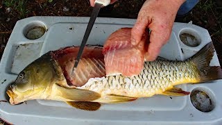 Catch and Cook Carp  How to cook carp  carp fishing tips amp carp recipe [upl. by Tedman]