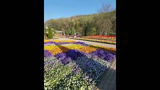 Ashikaga Flower Park [upl. by Airat493]