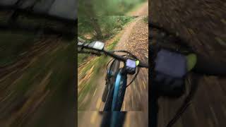 Danbury common bluebell run on the ebike in the mud [upl. by Shotton]