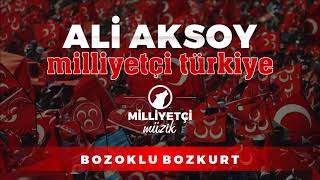 Milliyetçi Türkiye Ali Aksoy [upl. by Apilef]