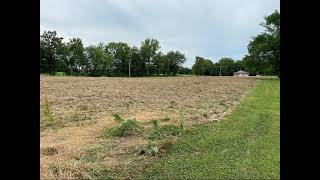 2901 Bockstruck Lane Alton IL 62002  Land  Real Estate  For Sale [upl. by Stallworth]