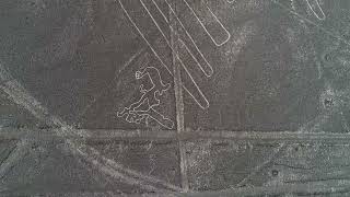 Nuovi geoglifi scoperti a Nazca rivelate antiche creature misteriose [upl. by Evante768]