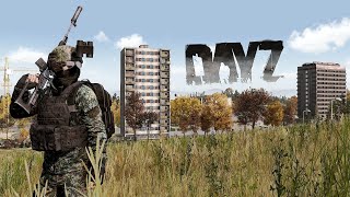 When a 16000 Hour DayZ Player Goes BEAST Mode [upl. by Aneertak724]