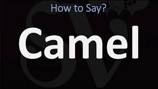 How to Pronounce Camel CORRECTLY [upl. by Nedi760]