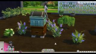 Lavender Harvestable with Effects  BrazenLotus Sims 4 CC Mod [upl. by Gent]