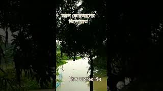 প্রেমে পড়লে বোকা বুদ্ধিমান হয়ে ওঠে বুদ্ধিমান বোকা হয়ে যায়।– স্পুট হাসসুনlove [upl. by Jehiel486]