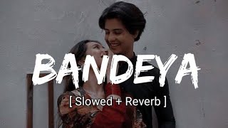 Bandeya  Arijit Singh Song Slowed amp Reverb Dil Juunglee Song  Lofi Song [upl. by Girhiny65]