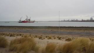 Vlog Fossielenexpeditie Maasvlakte 2 Port of Rotterdam [upl. by Mulderig813]