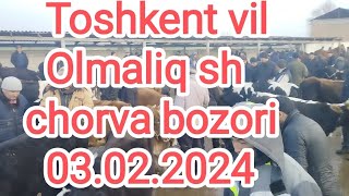 Toshkent vil Olmaliq sh chorva bozori 03022024👍👍 bosishni unutmang [upl. by Aliakam827]