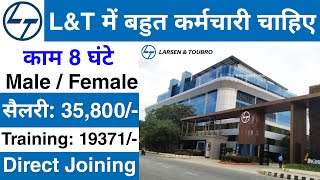 LampT Recruitment 2024  LampT Job vacancy 2024  Private company job vacancy 2024  Jobvalley [upl. by Rotce25]