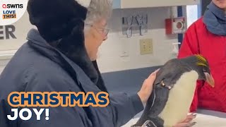 Grandmas dream of petting a penguin comes true 🐧✨  LOVE THIS [upl. by Taddeusz]