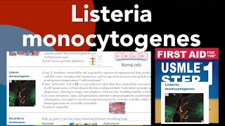 Listeria monocytogenes in HindiUrdu by first aid for USMLE step 1 [upl. by Burbank]