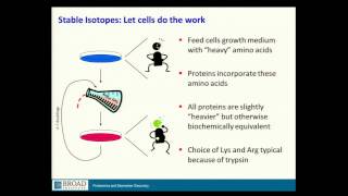 BroadE Quantitative methods in proteomics [upl. by Thurmond707]