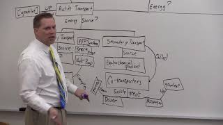 Protein Mediated Transport [upl. by Wystand]