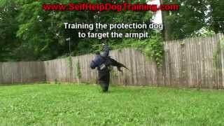 Doberman Attack Trained to Bite the Arm Pit K91com [upl. by Perot]