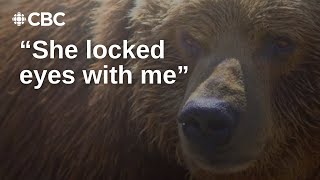 Grizzly bear attack survivor shares his story [upl. by Ettevol]