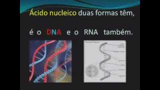 MÚSICA ÁCIDOS NUCLEICOS dna rna música biologia [upl. by Lenra302]