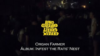 King Gizzard amp The Lizard Wizard  Organ Farmer live at Hércules Querétaro [upl. by Sterner]