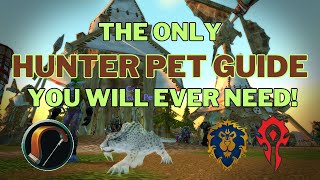 Hunter Pet Guide For World Of Warcraft Classic  Season Of Discovery [upl. by Wash]