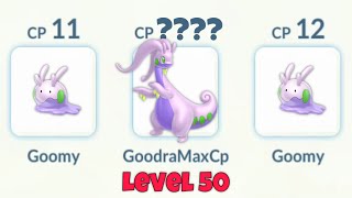 LEVEL 50 GOODRA vs Team Go Rocket Leader Pokemon Go [upl. by Yensehc]